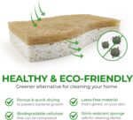 Twelve S-shaped AIRNEX Natural Kitchen Sponges, made from khaki cellulose and coconut, stacked neatly.