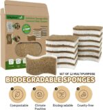 A dozen white cellulose and coconut fiber kitchen sponges, ergonomically shaped for easy grip, arranged neatly.